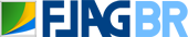 Flag Brasil Logo